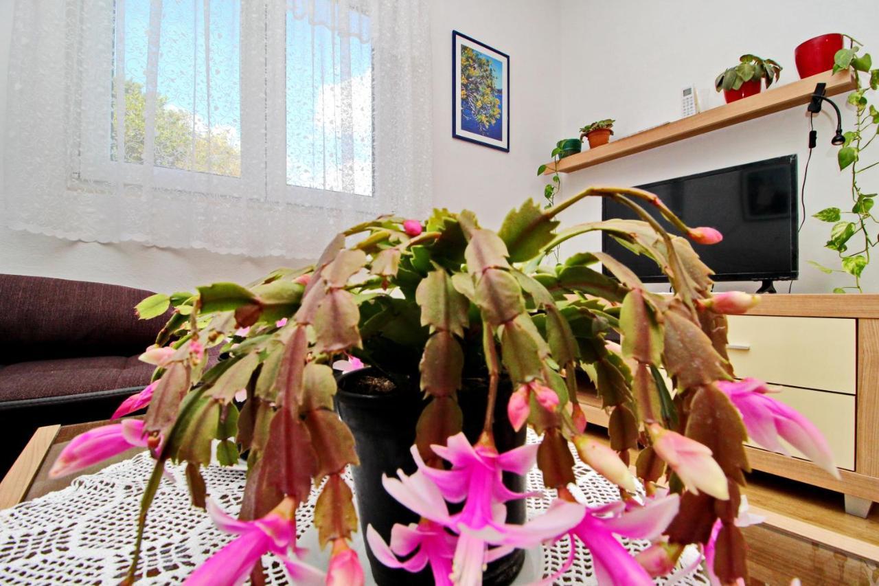 Nodilo Apartment *